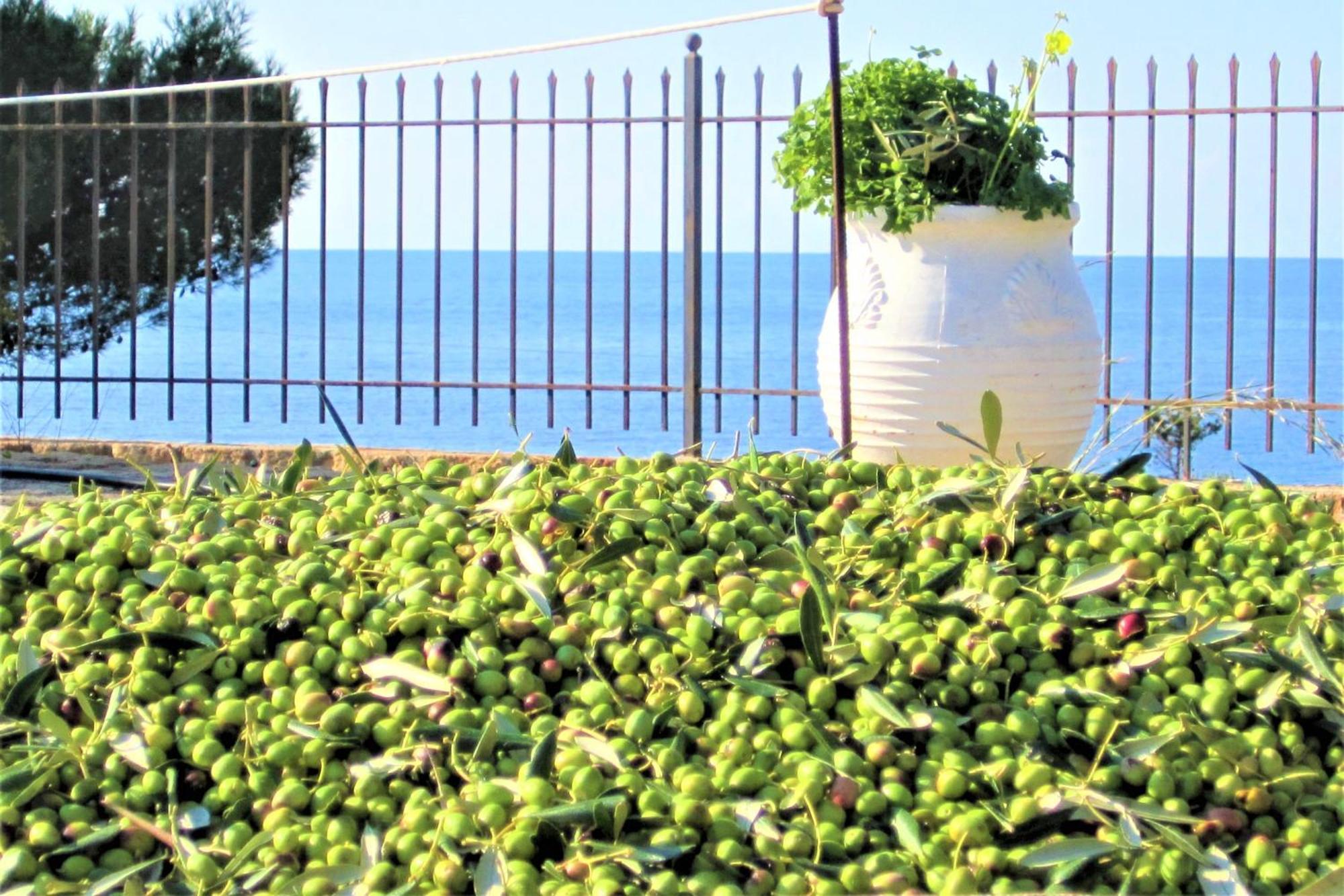 Mondo Cosseri Villa Rossa-Dorothea And Mondo Cosseri Villa Rossa-Penelope, With Own Shared Pool Lixouri Rum bild